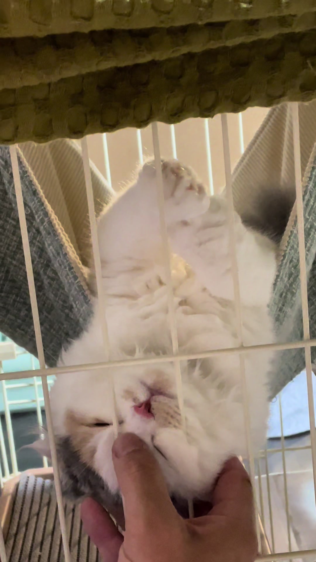 @むぎころ