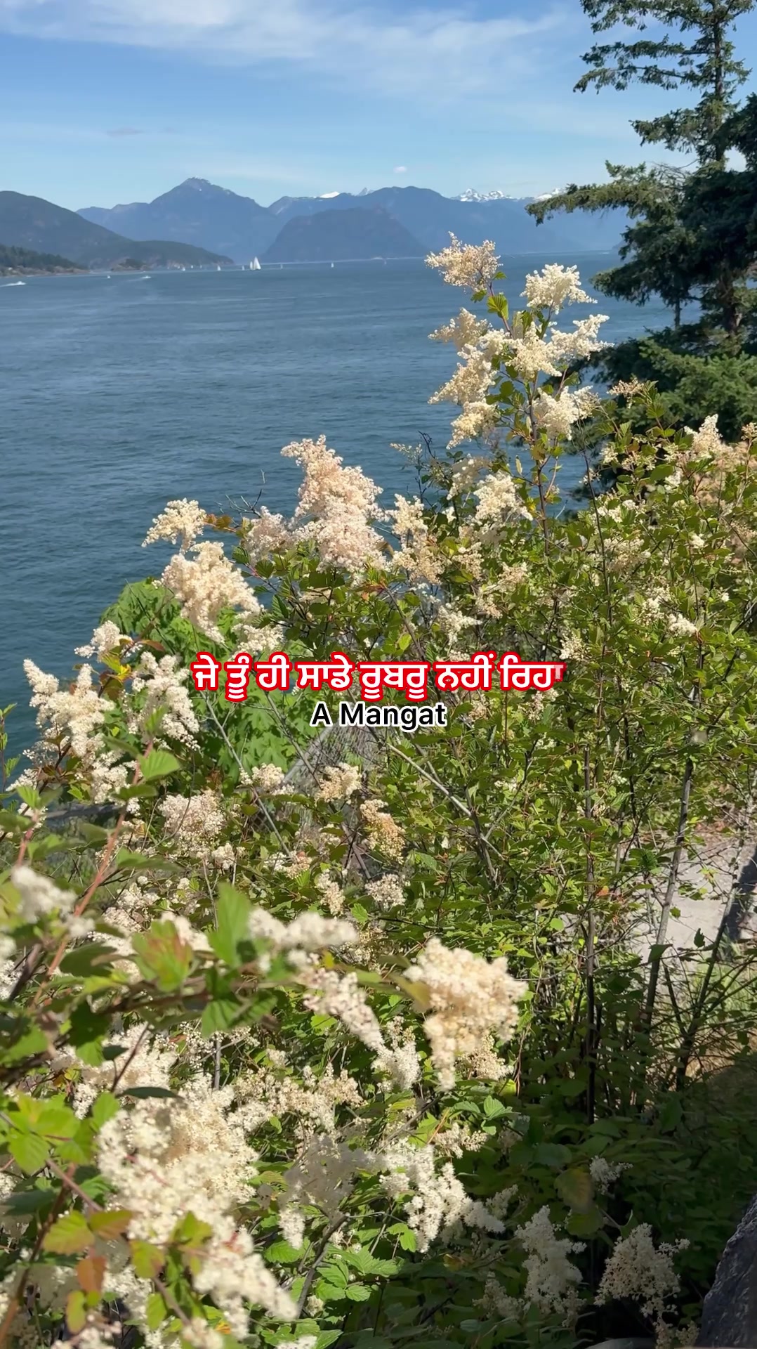 @A Mangat