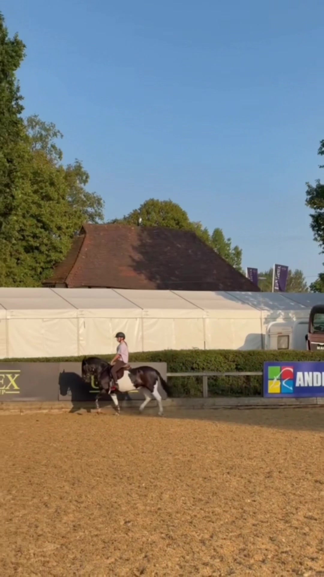 @AAPS_ponys