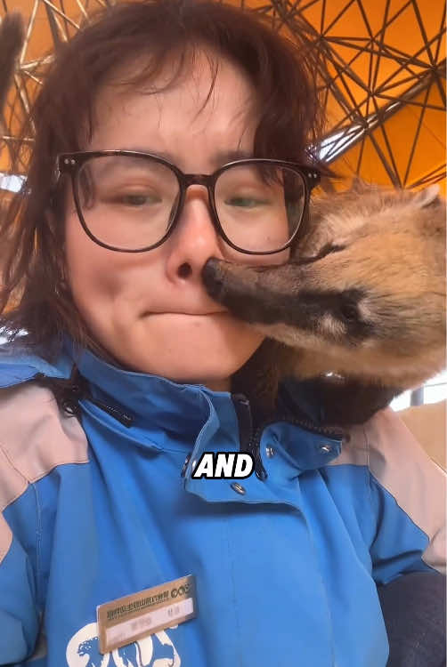 @ZoomieZoo
