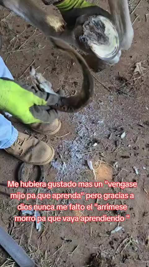 @Leobardo Acero Es565