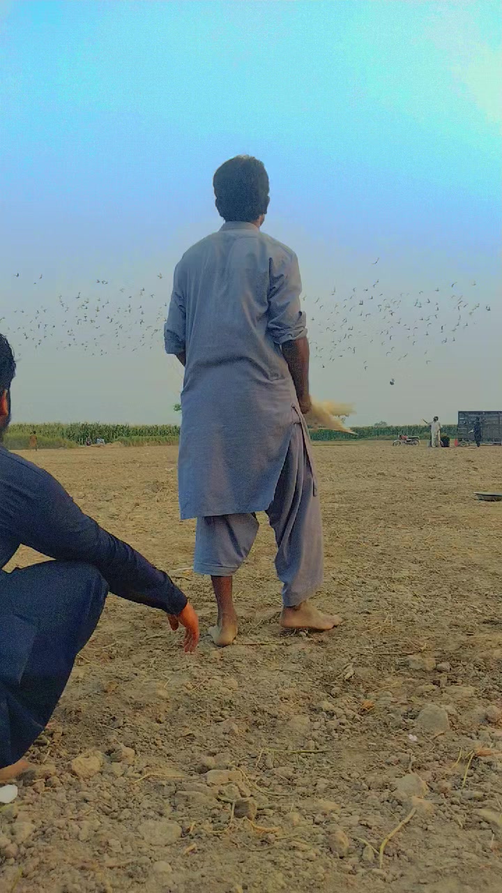 @عدیل رحمن لیہ وال کبوتر باز