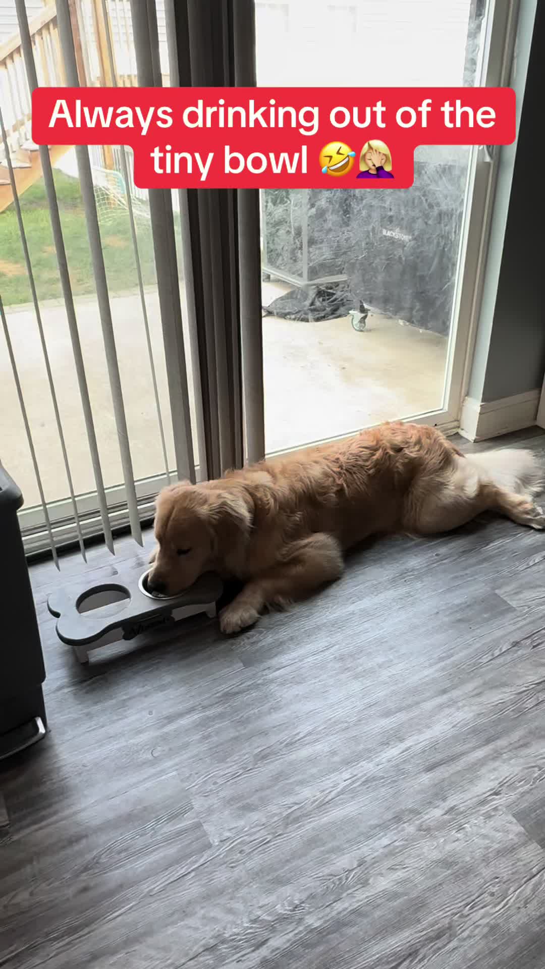@Tucker_tha_Golden