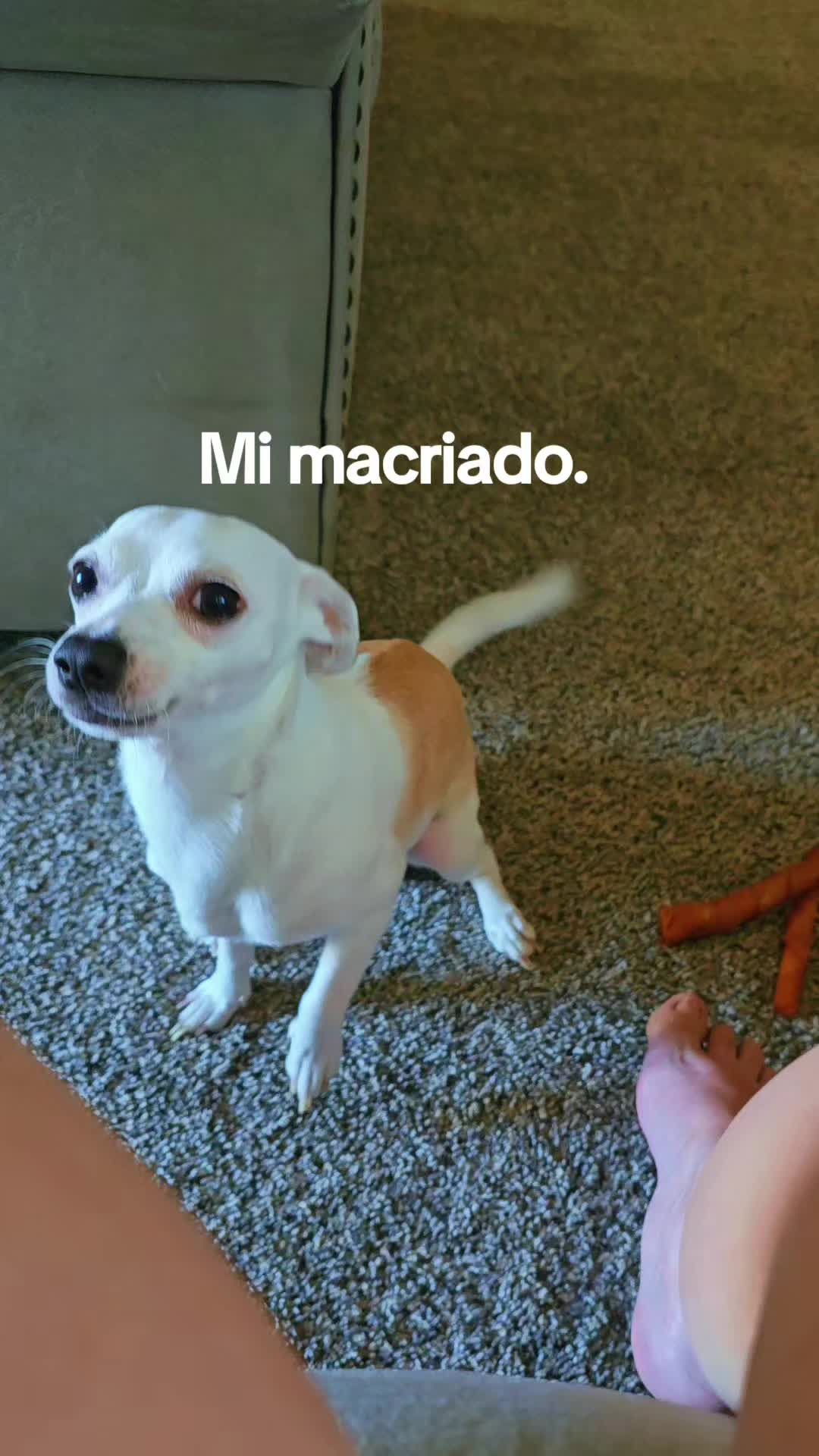 @Mayte Benitez