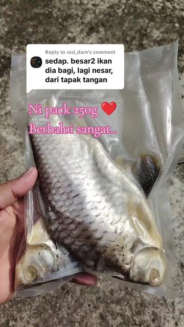 @FaraOthman
