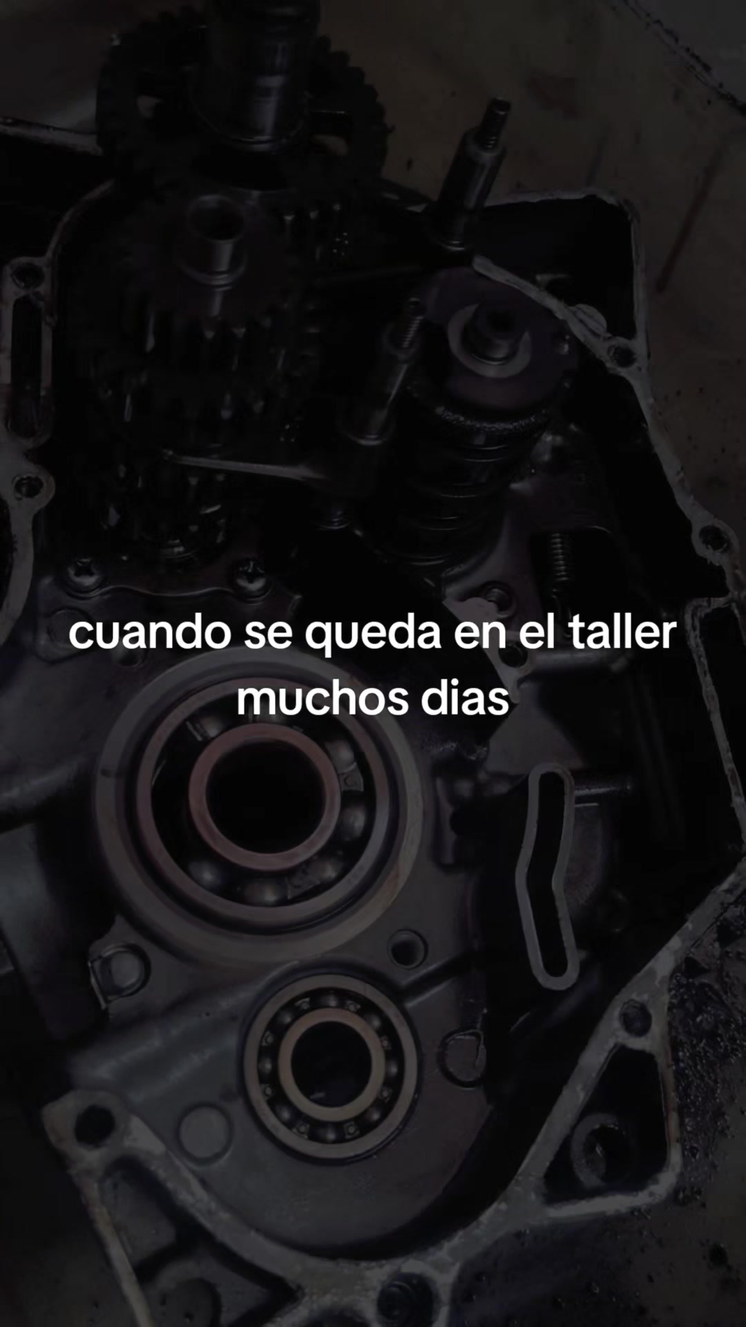 @Octavio