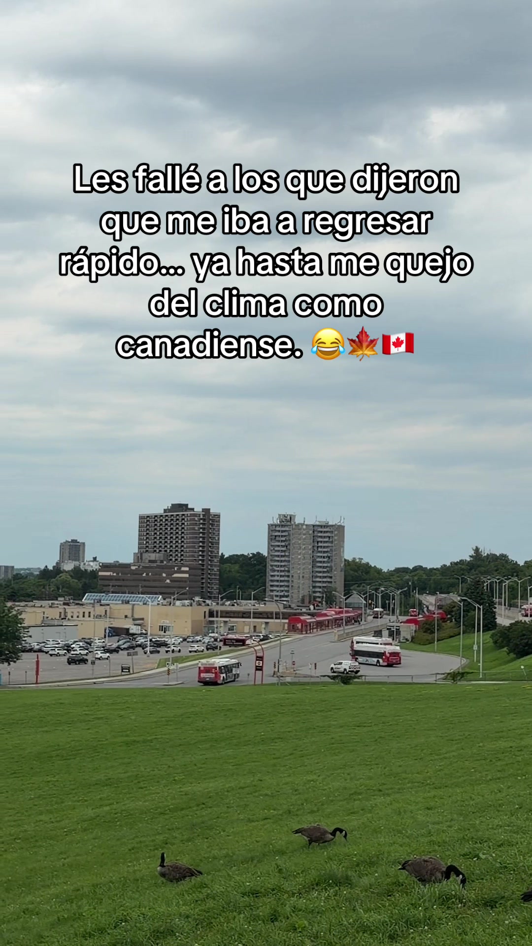 @Tony en Canada