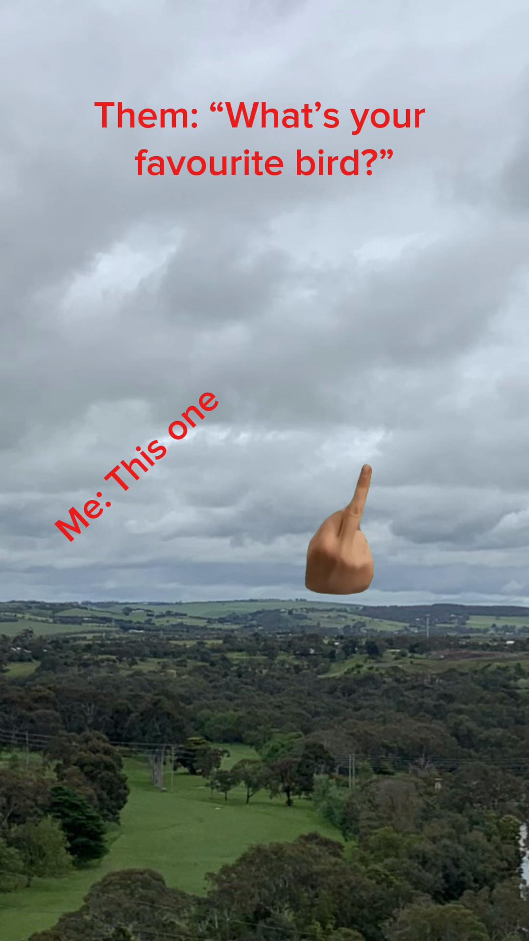@Kim