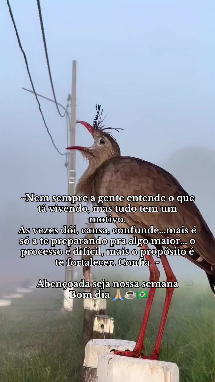 @Dhyanna rozeta