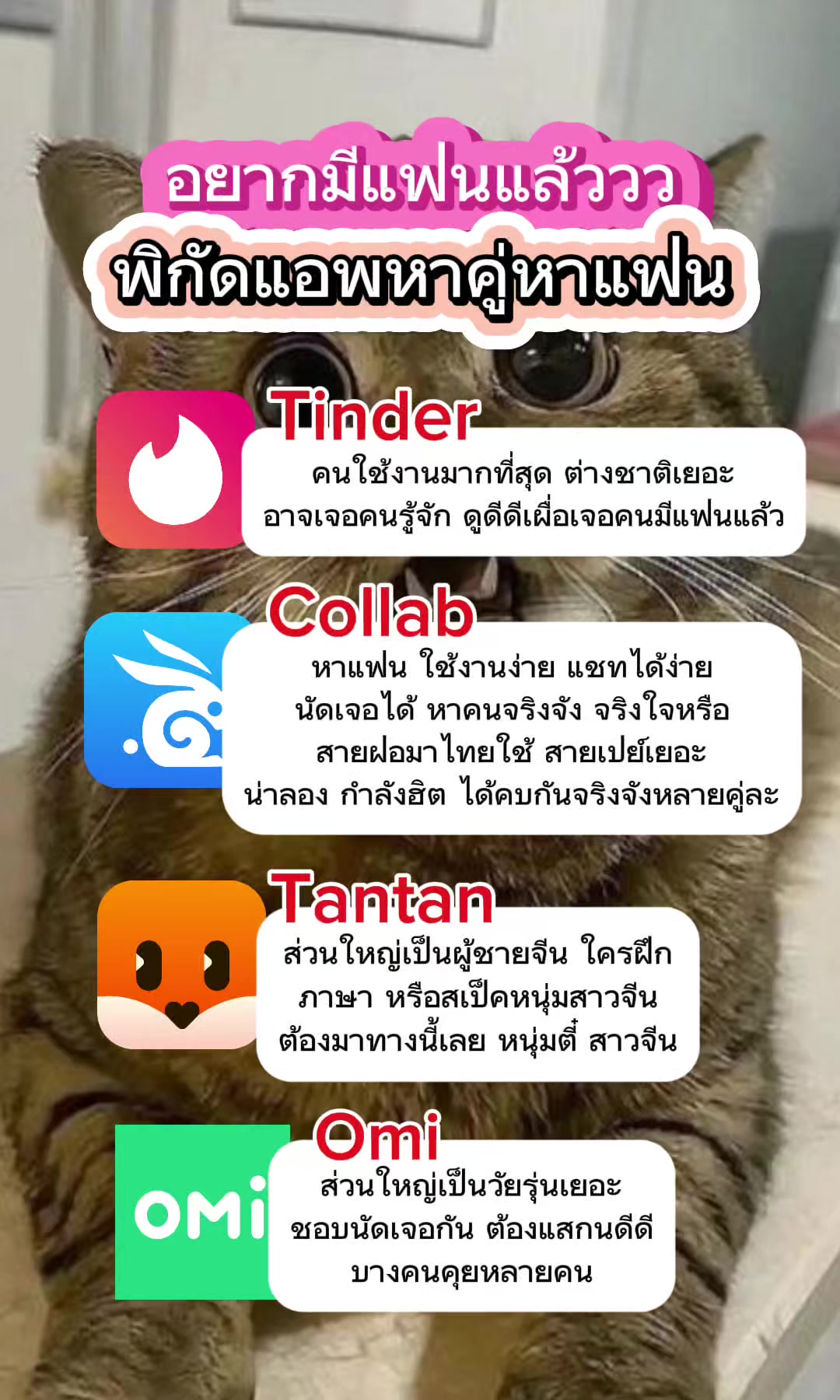 @Collab คนเหงา