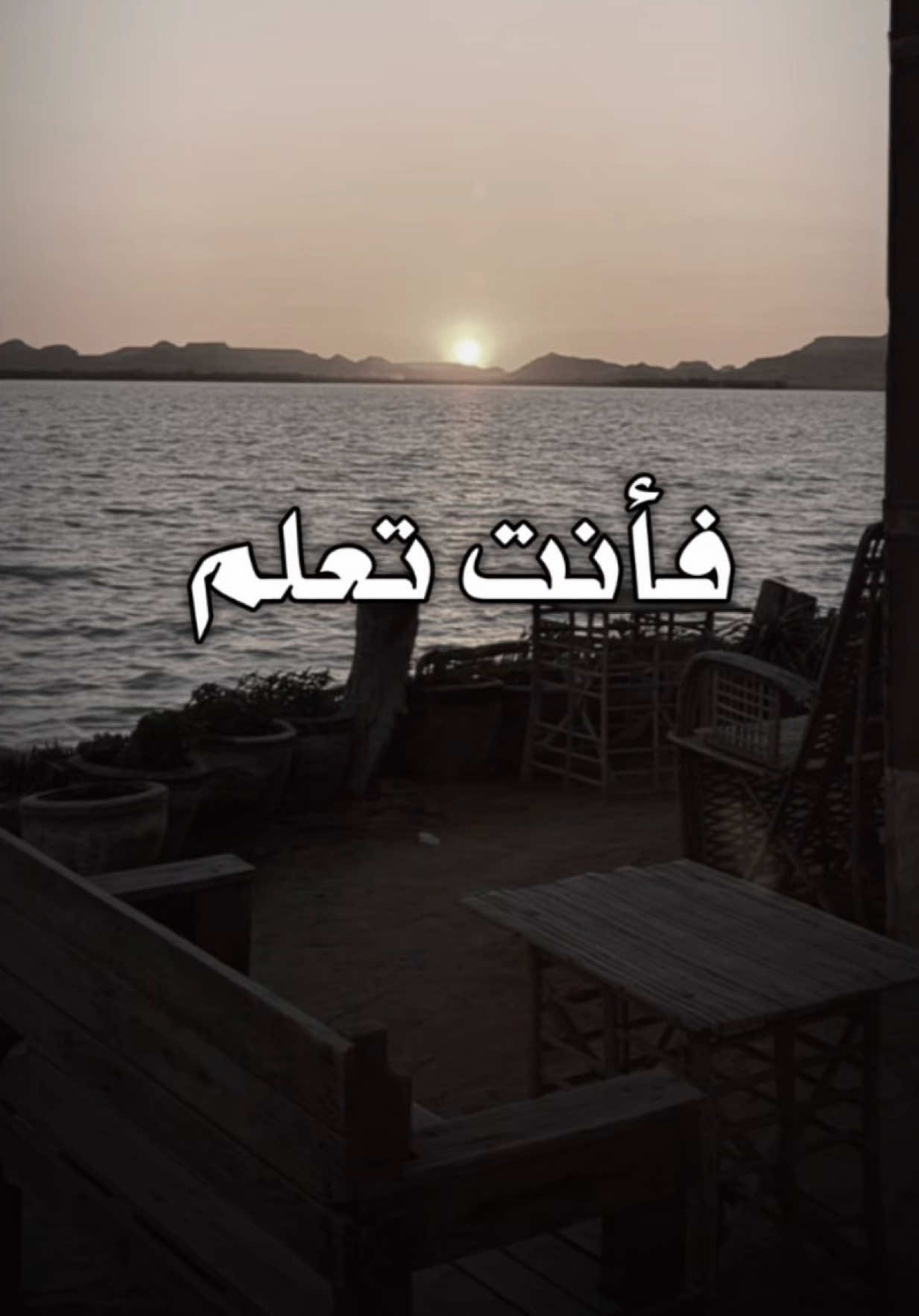 @عـُـلا عــامــر🪽🤎