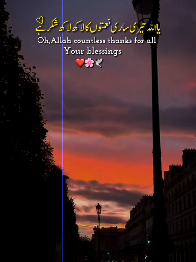 @Arooj 🦋🌼