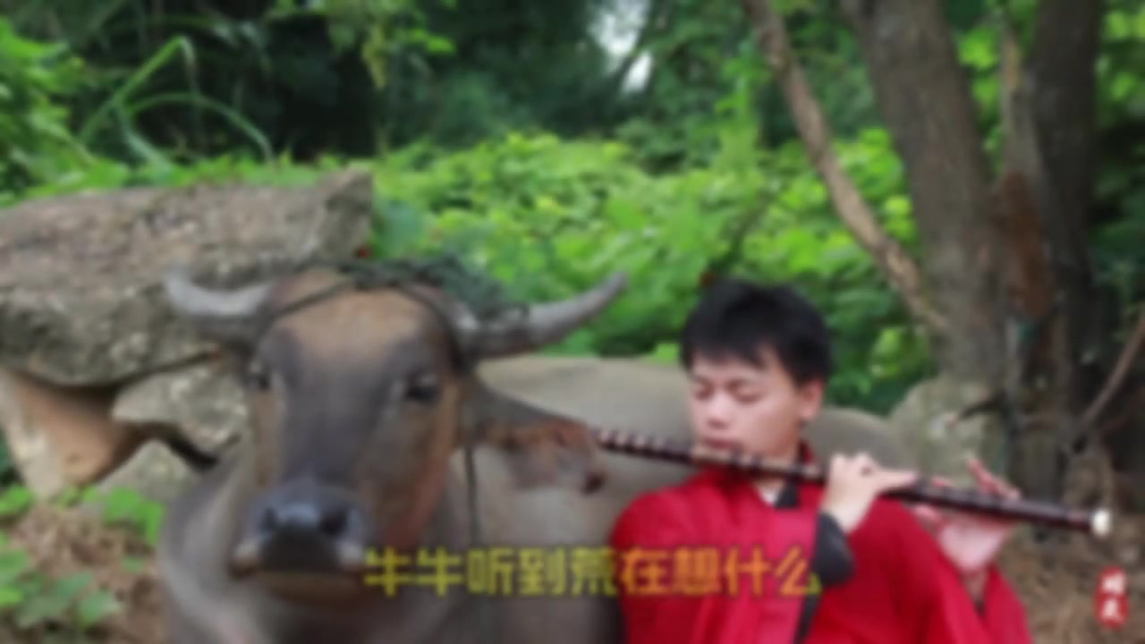 @🎋爱竹笛 Đam M&ecirc; S&aacute;o Tr&uacute;c 🪈