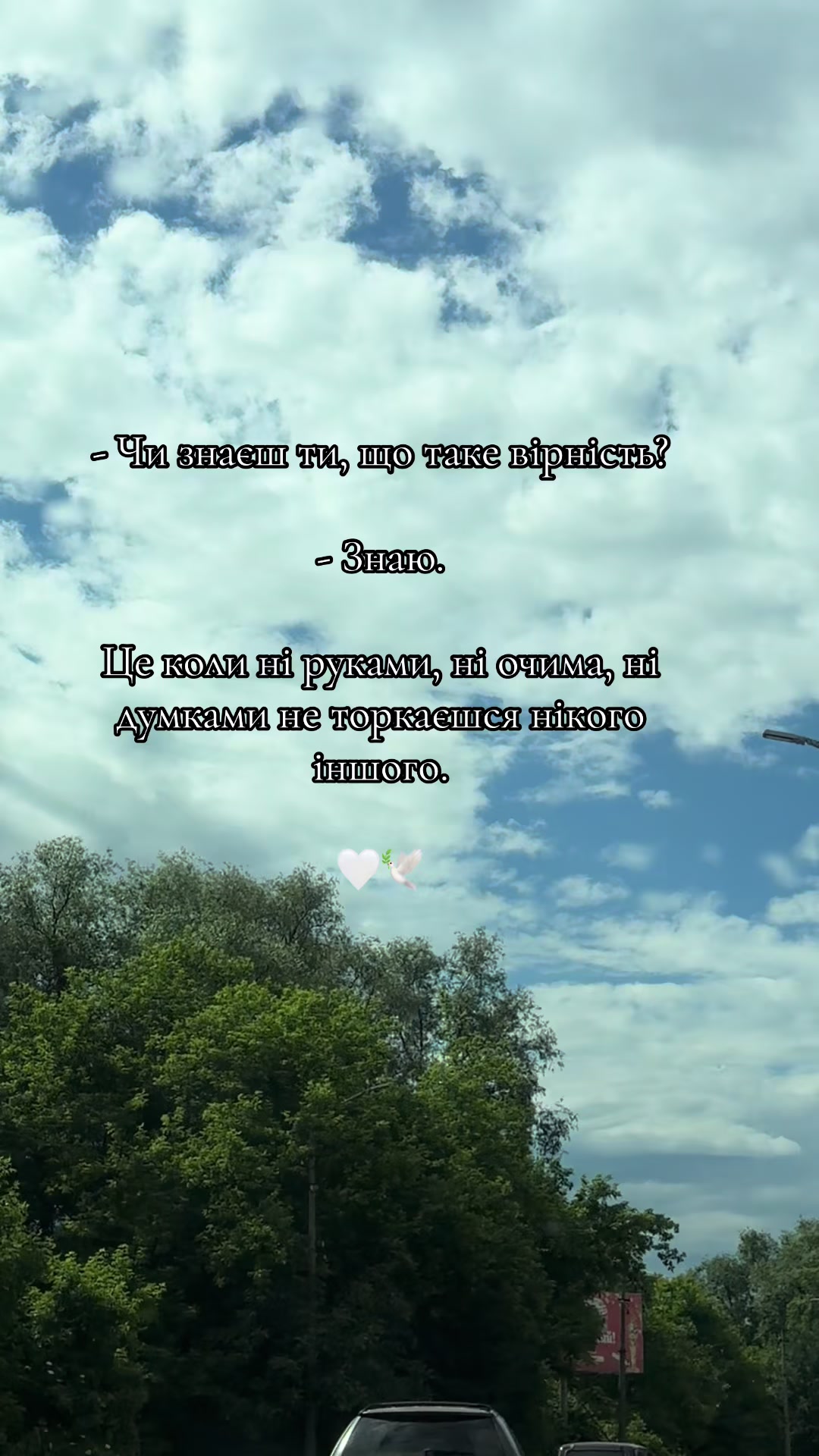 @🕊️🤍