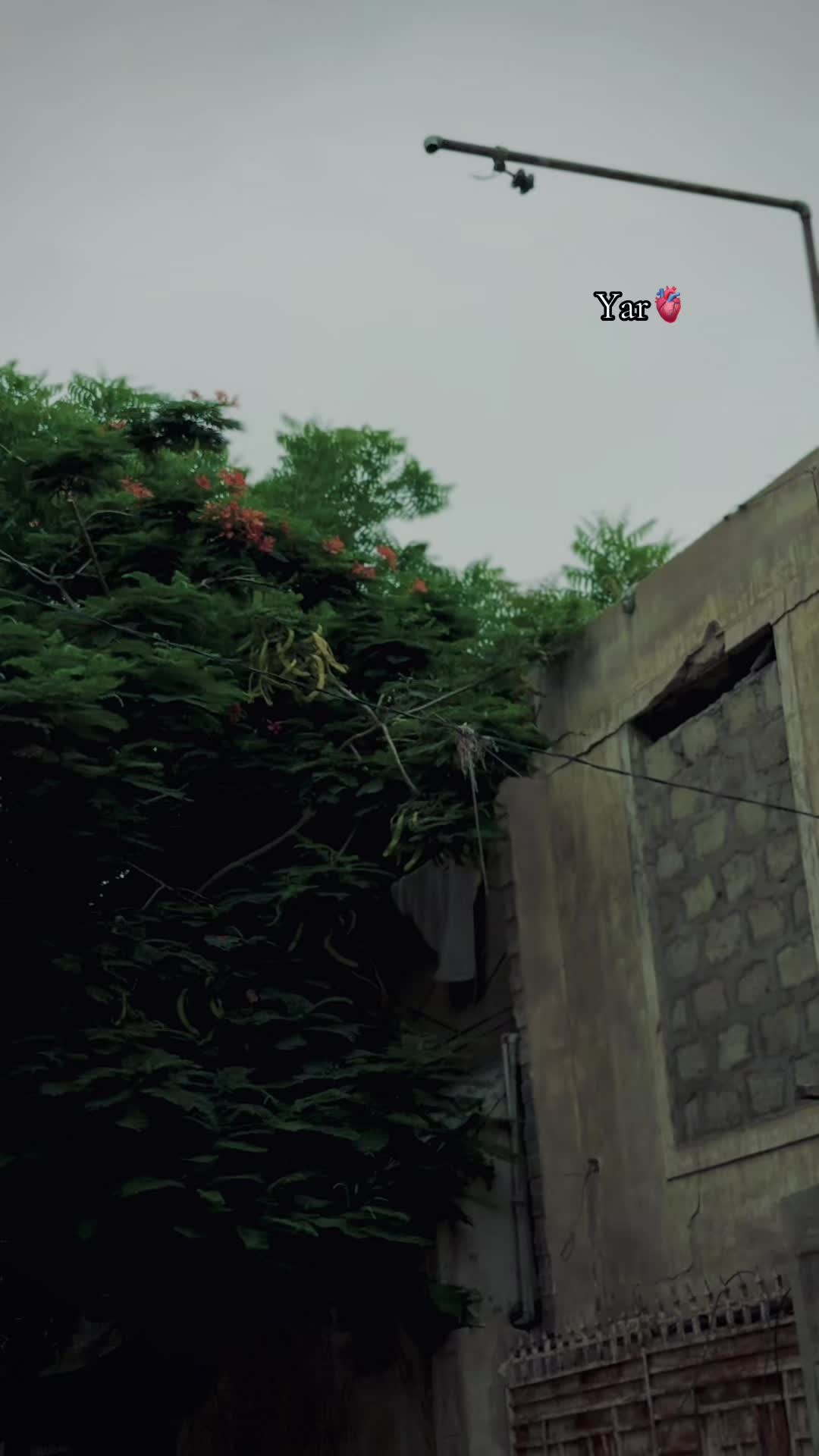 @🦂ᗷᗩᗷᗩ—یار باش🦅