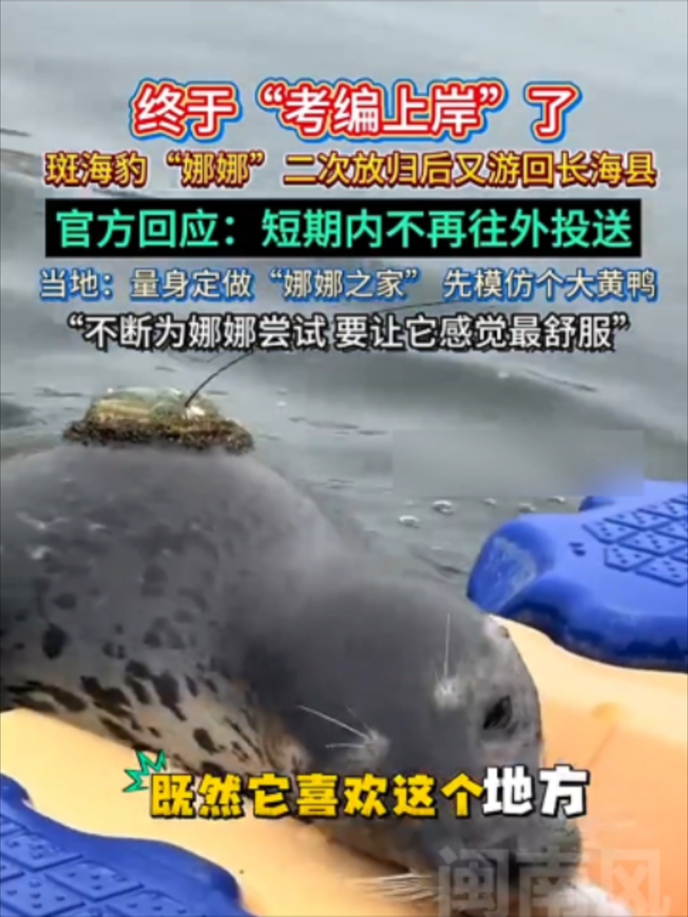 @闽南风~