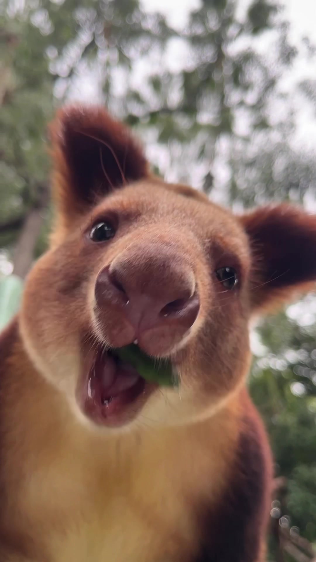 @Perth Zoo