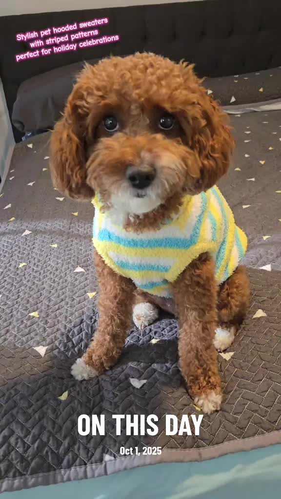 @Waffle | Pet Creator + UGC