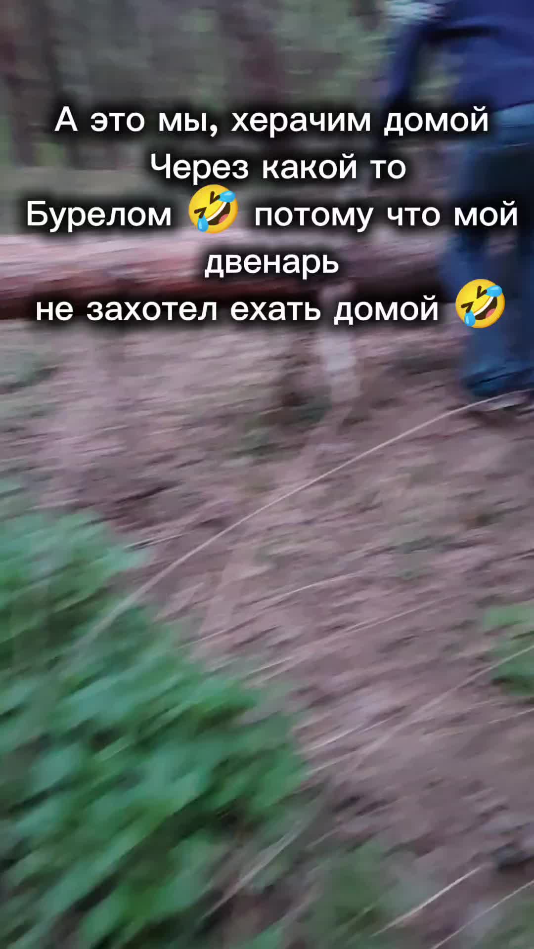 @#Andreevna62