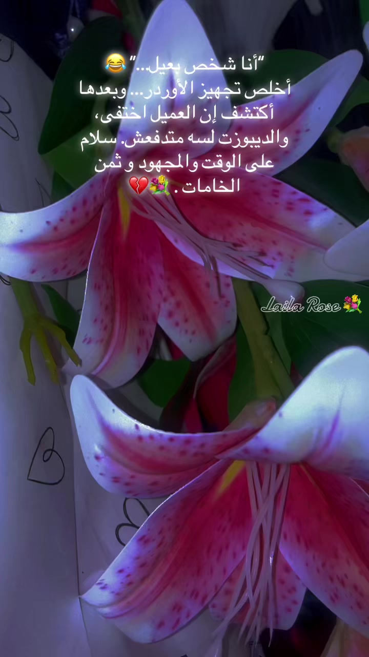 @Laila Mohamed ๐ค