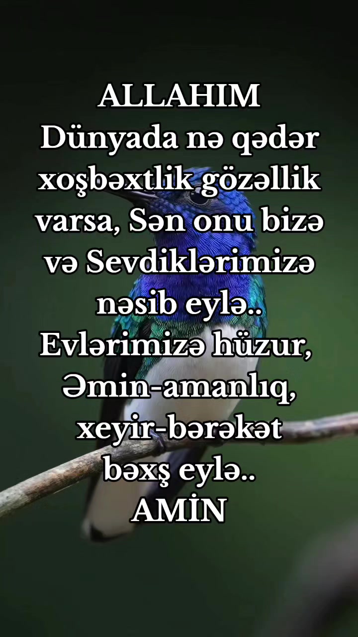 @DİNİM İSLAM
