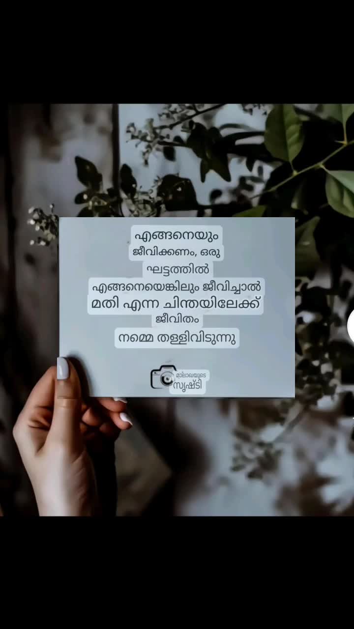 @BIHINDTREES54🌴