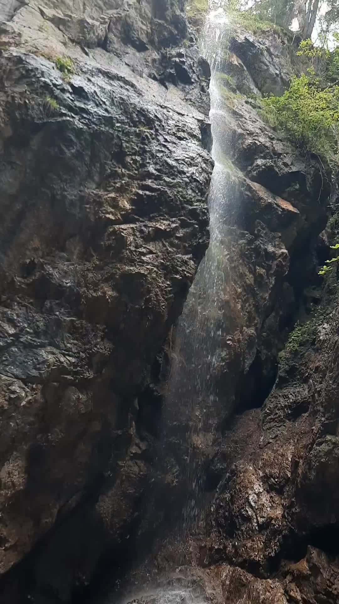 @Vollgas.lijan