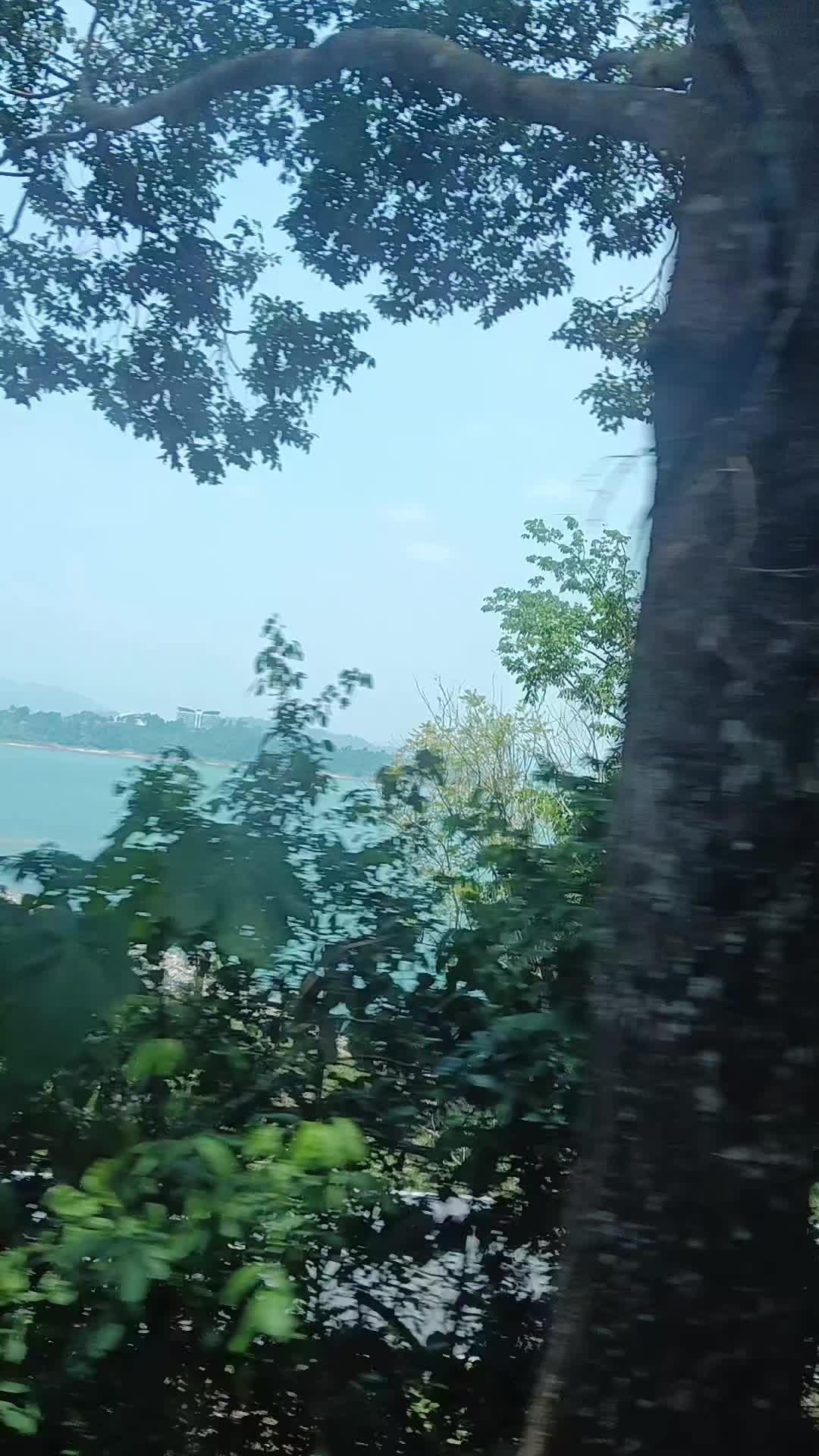 @hanihashim