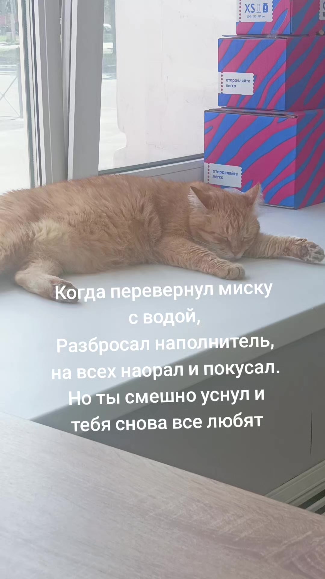@Ozon рулит😜