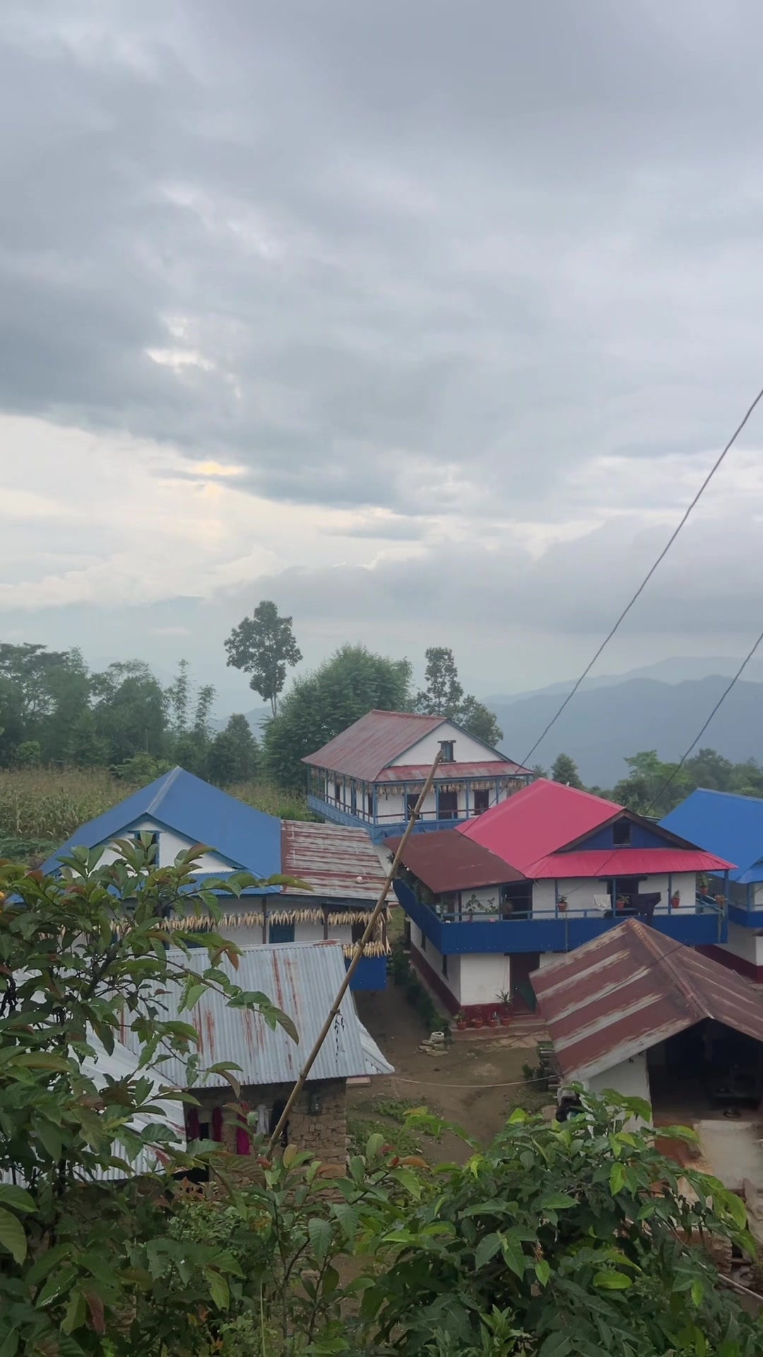 @Dimple Chhetri