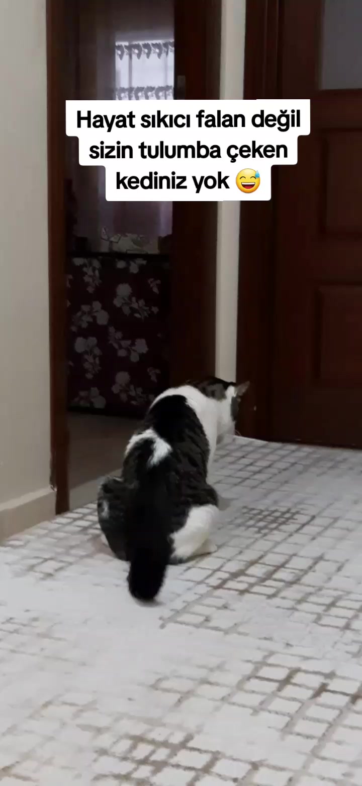 @Meral Saygı