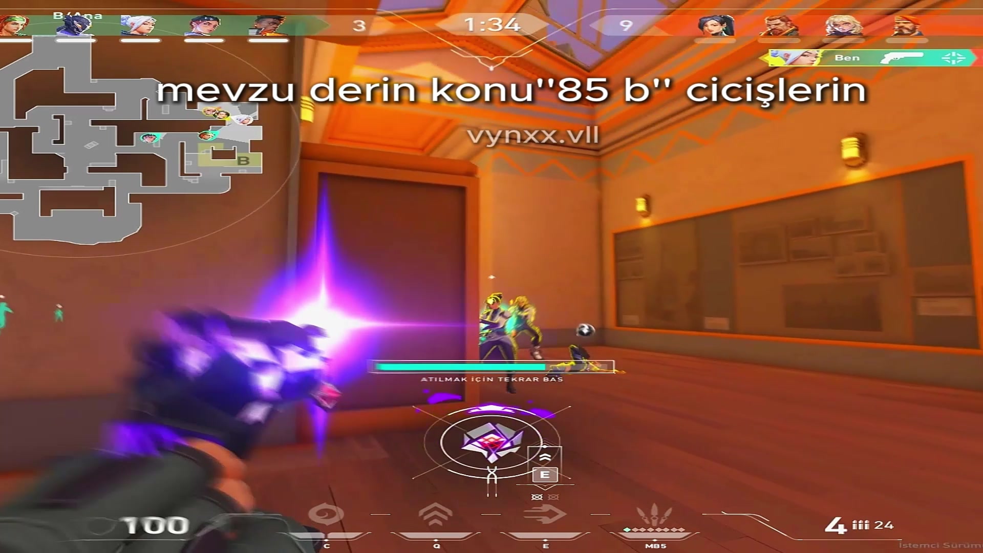 @vynxx.vll