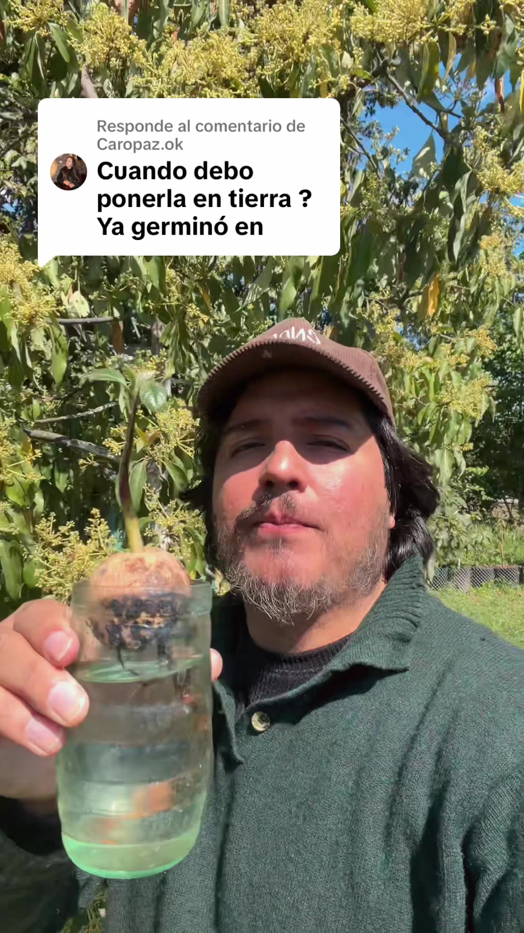 @Mr Kraus 🥑