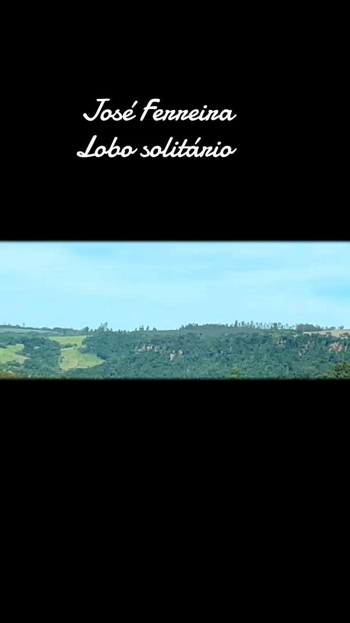 @joseferreiraferreira8