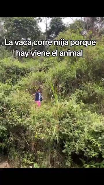 @DOUGLAS TRIGUEROS