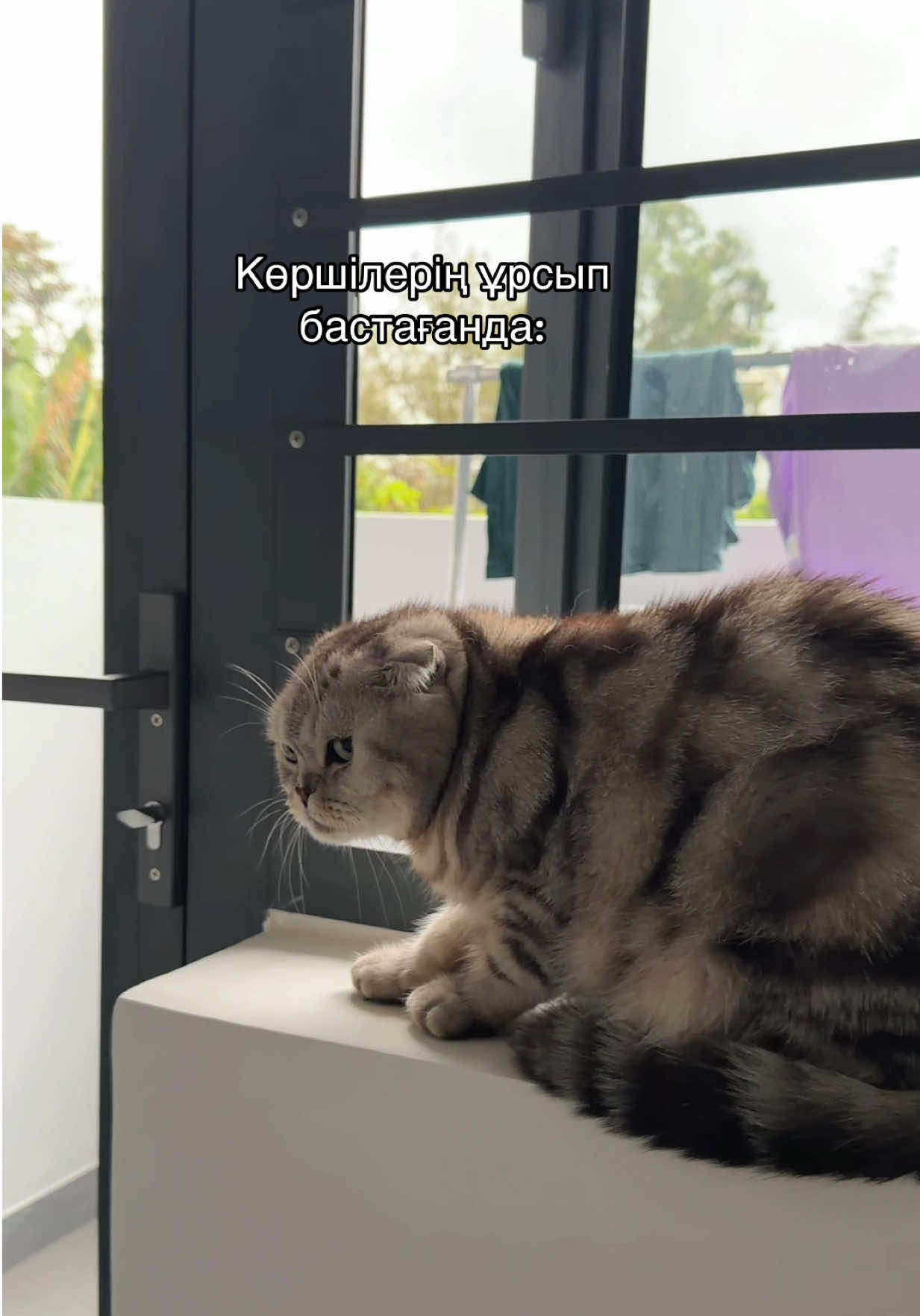 @✨💎ЗЛИХА ДЕПП💎✨