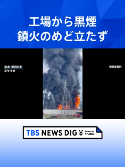 @TBS NEWS DIG Powered by JNN