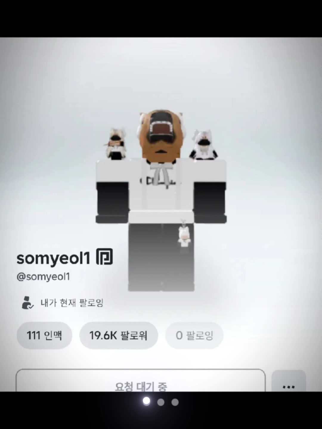@소멸 바라기 서릿♡/접...