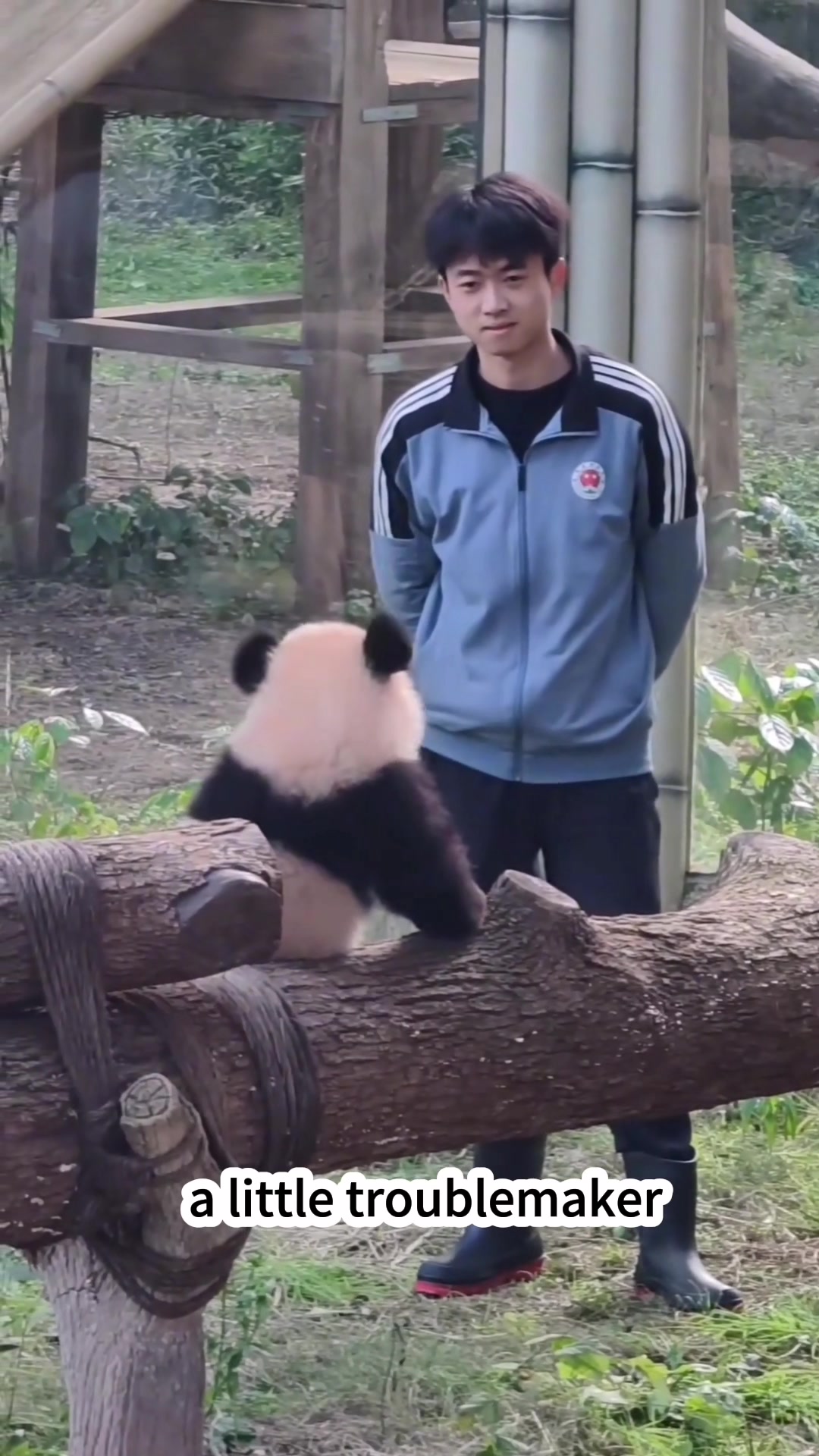 @BlissWin