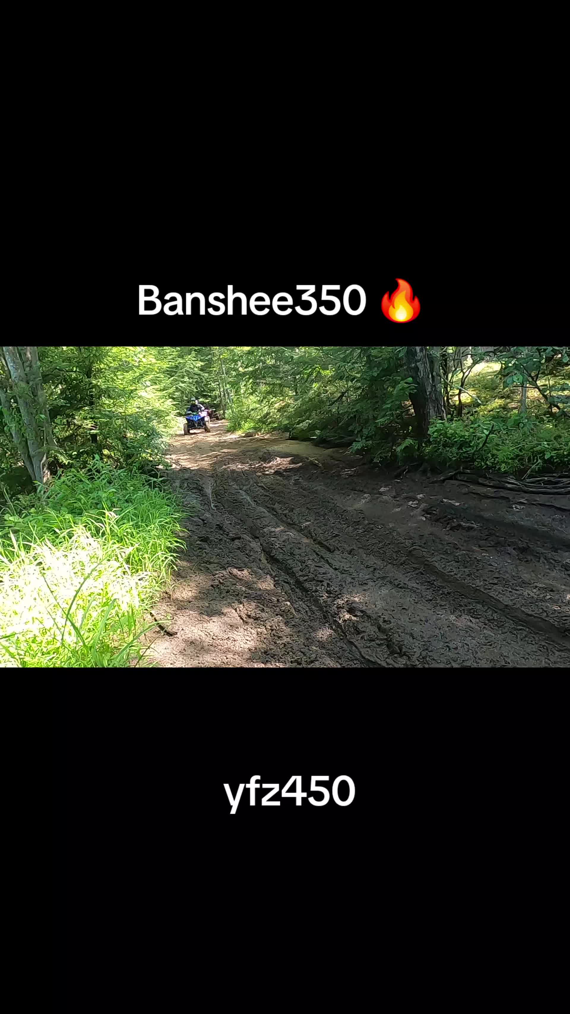@🦍Zadiel/Ltz400🦍