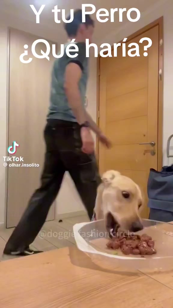 @Ale Casanguita