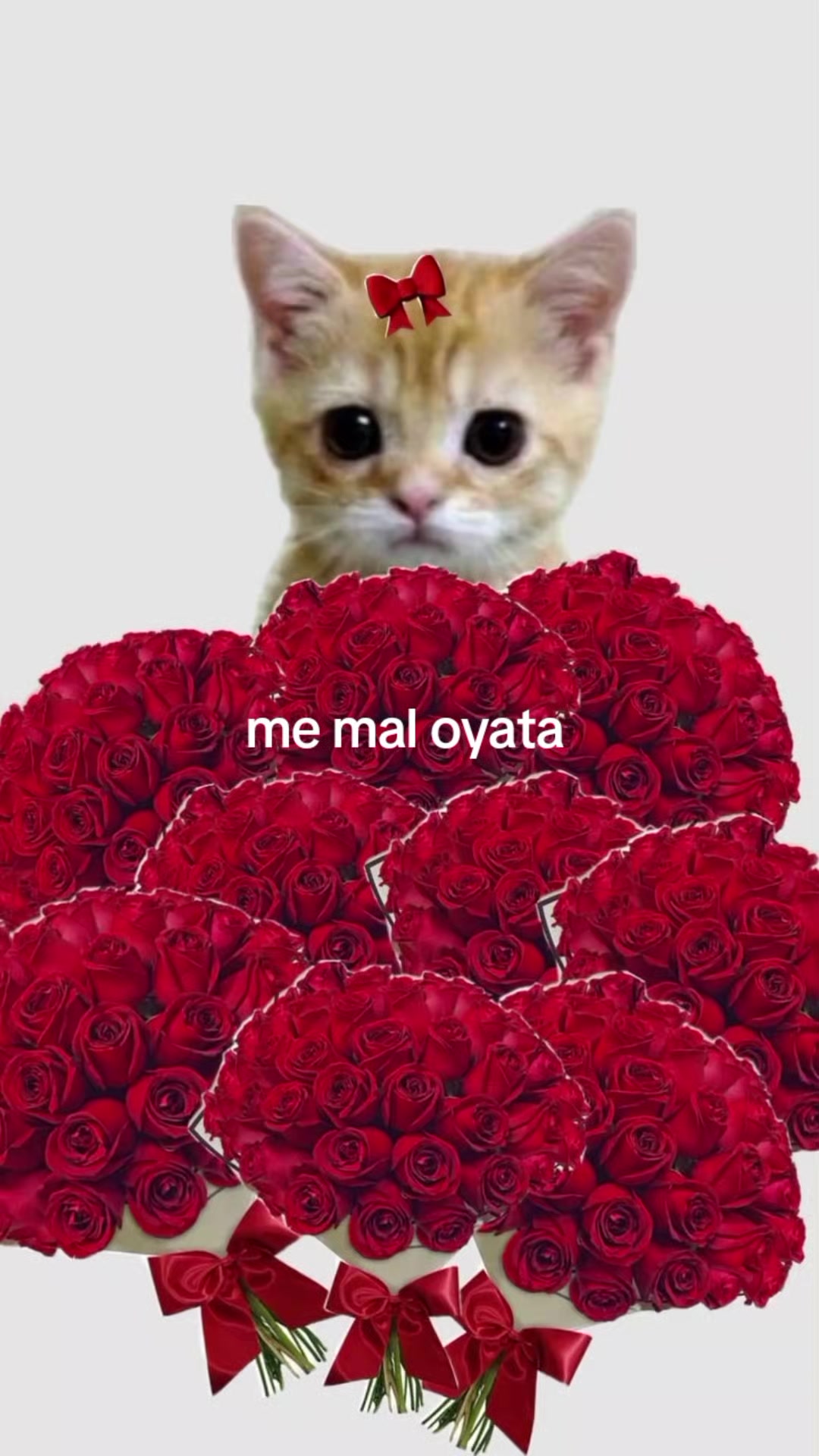 @luke