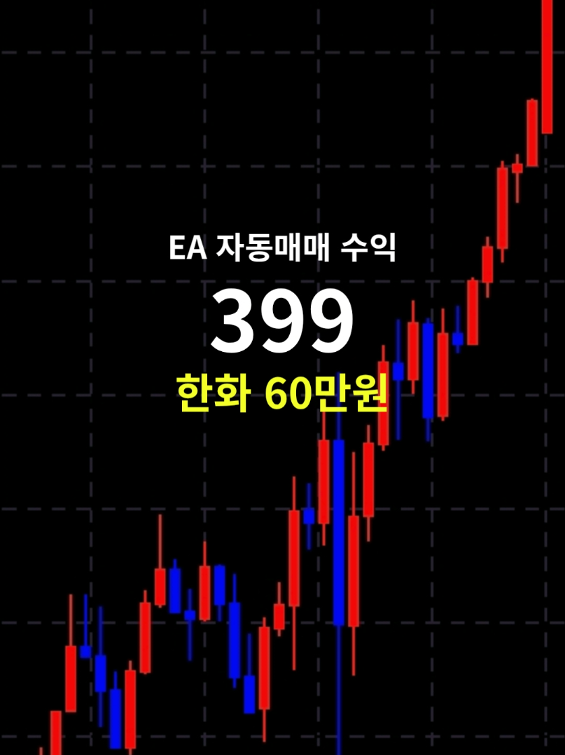 @독싸 • 개인 트레이더