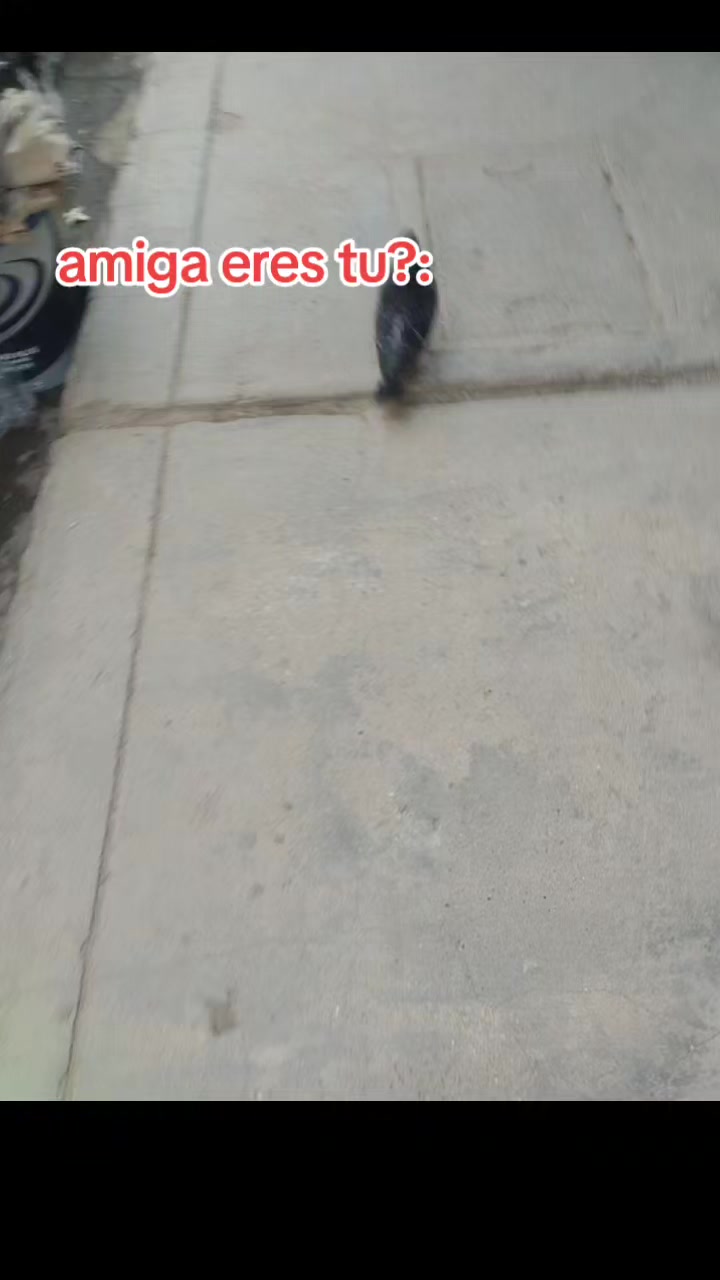 @୨९