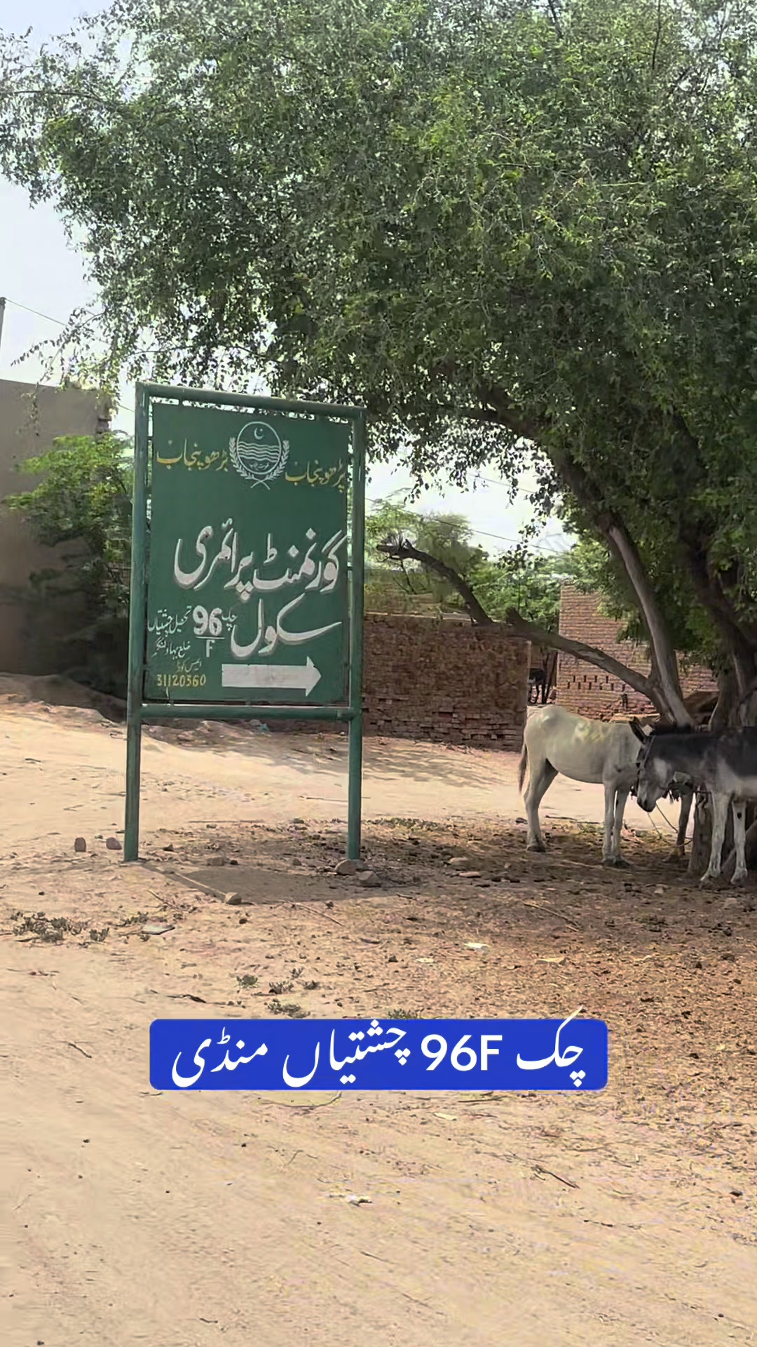 @Rehab Fatima 🇵🇰