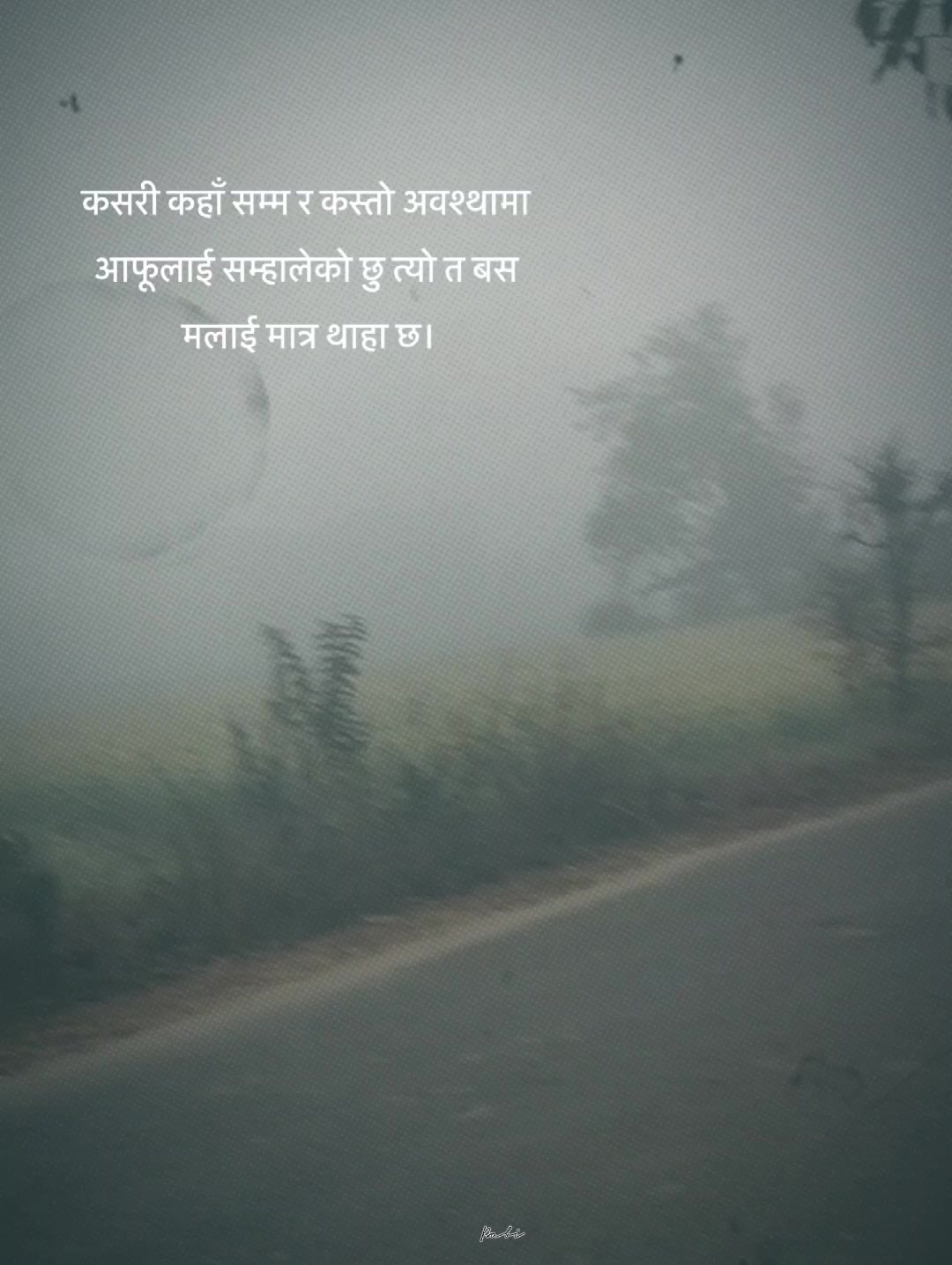 @🪻🍁kohinoorshrestha 💜🪻🍁