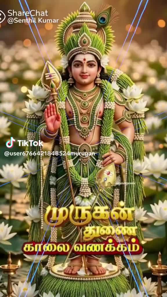@Kutty Kutty