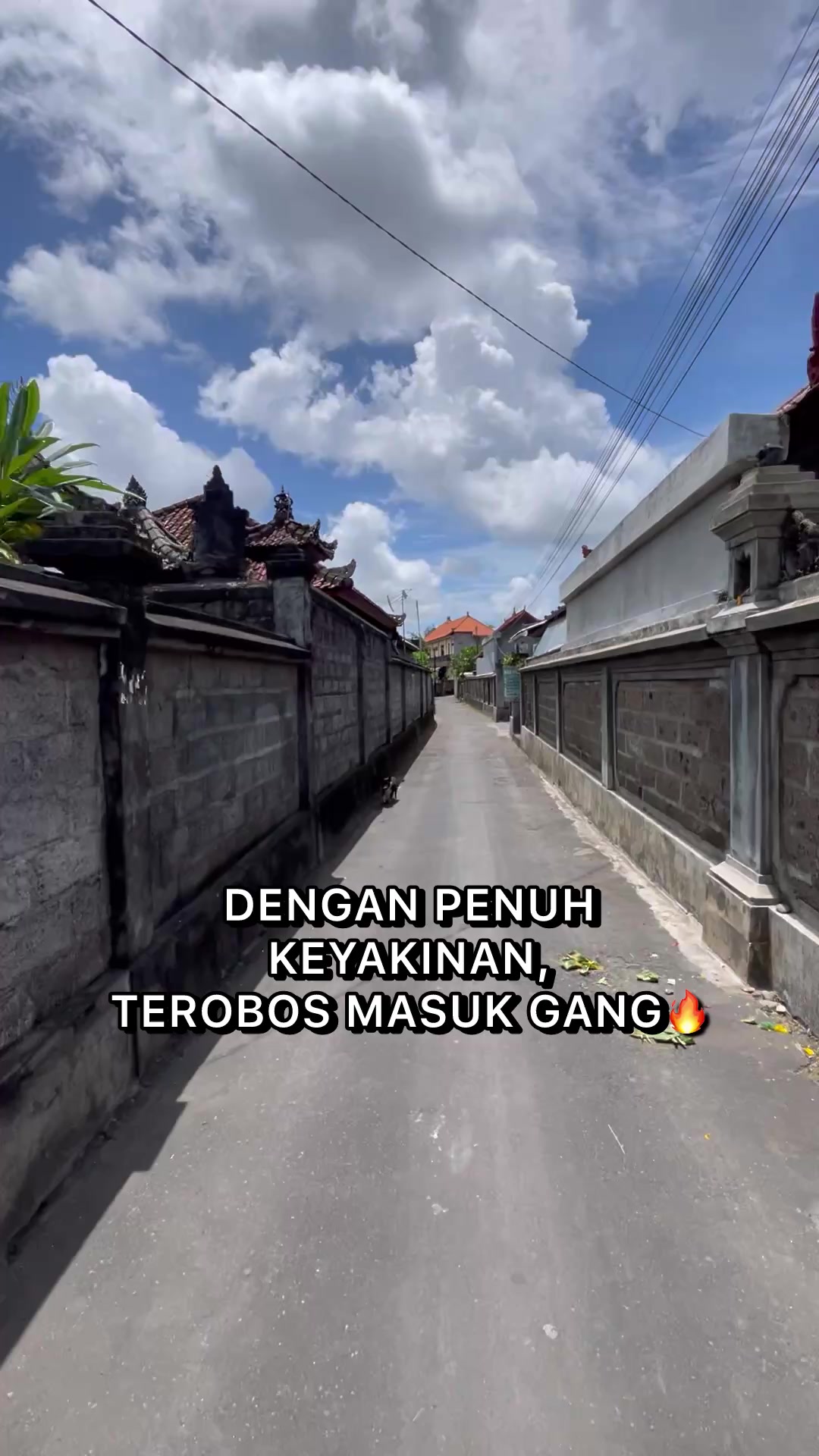 @DeliciousBali