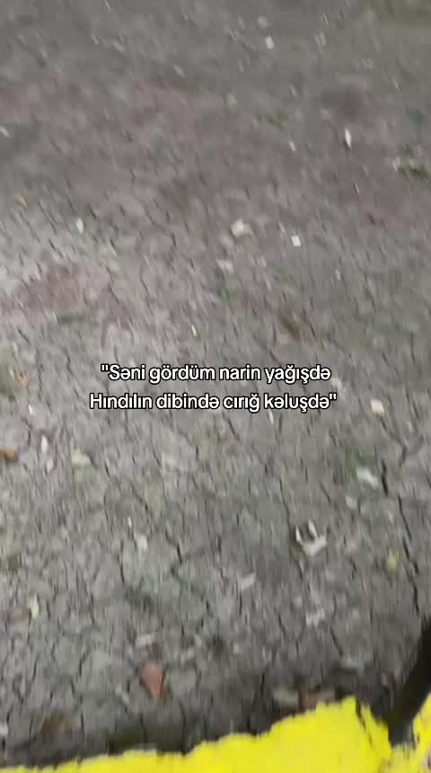 @alekberofws
