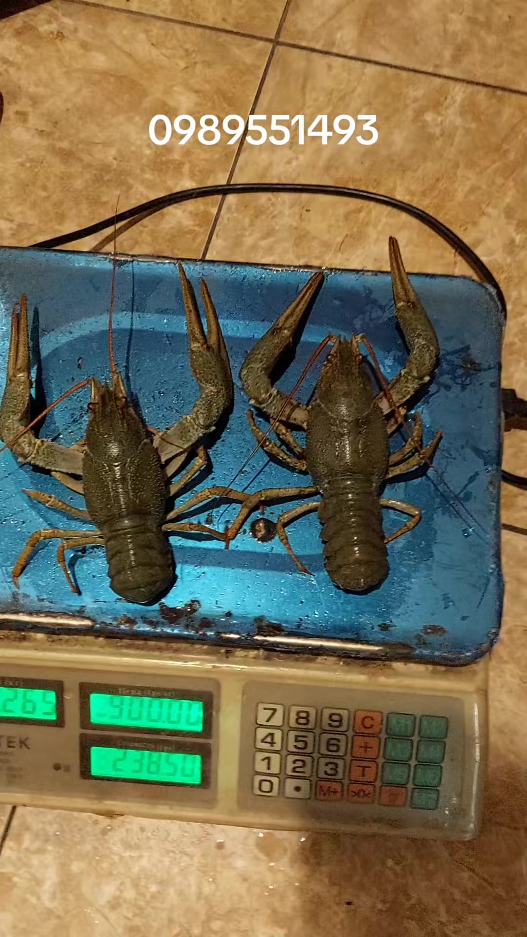 @Раки Умань